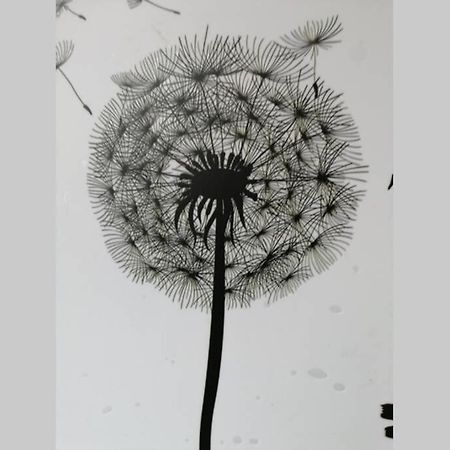 Ferienwohnung Pusteblume Mueddersheim Vettweiss Bagian luar foto