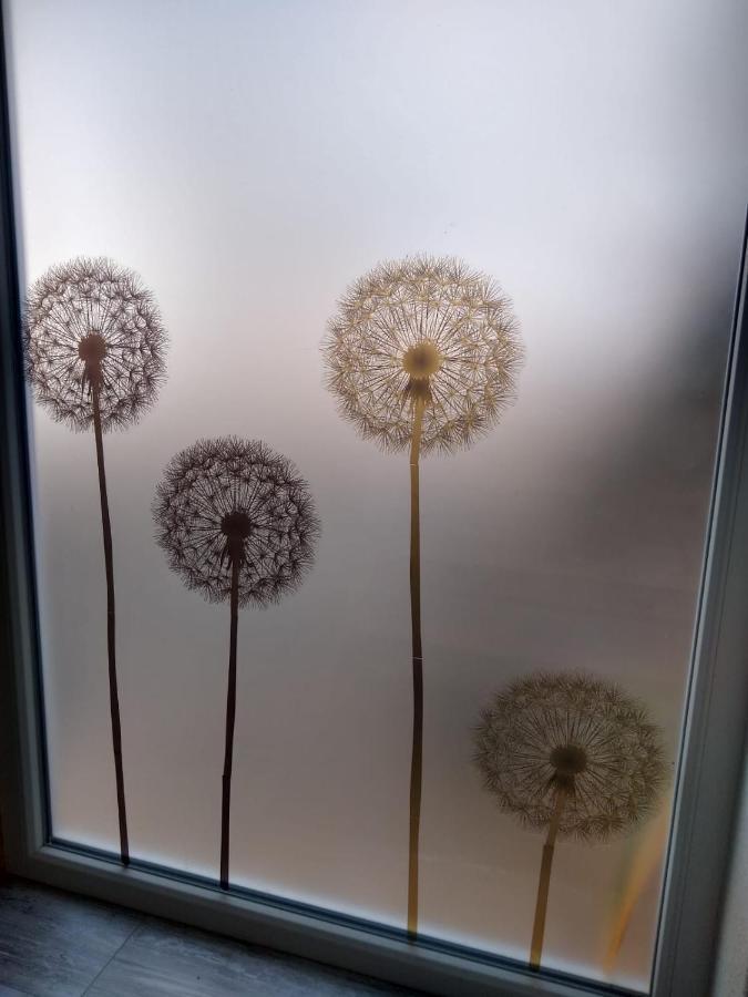Ferienwohnung Pusteblume Mueddersheim Vettweiss Bagian luar foto